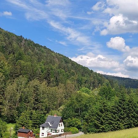 Ferienhaus Rosemarie Erlbach Vogtland Exterior foto
