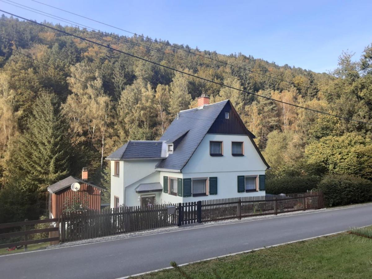 Ferienhaus Rosemarie Erlbach Vogtland Exterior foto