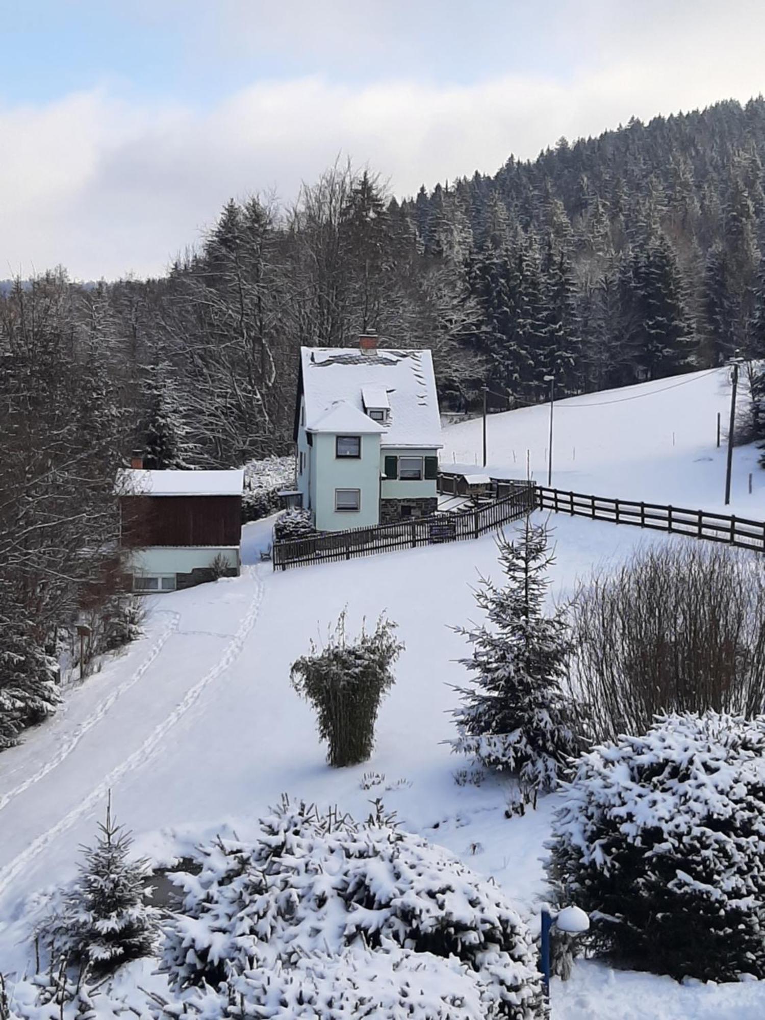 Ferienhaus Rosemarie Erlbach Vogtland Exterior foto